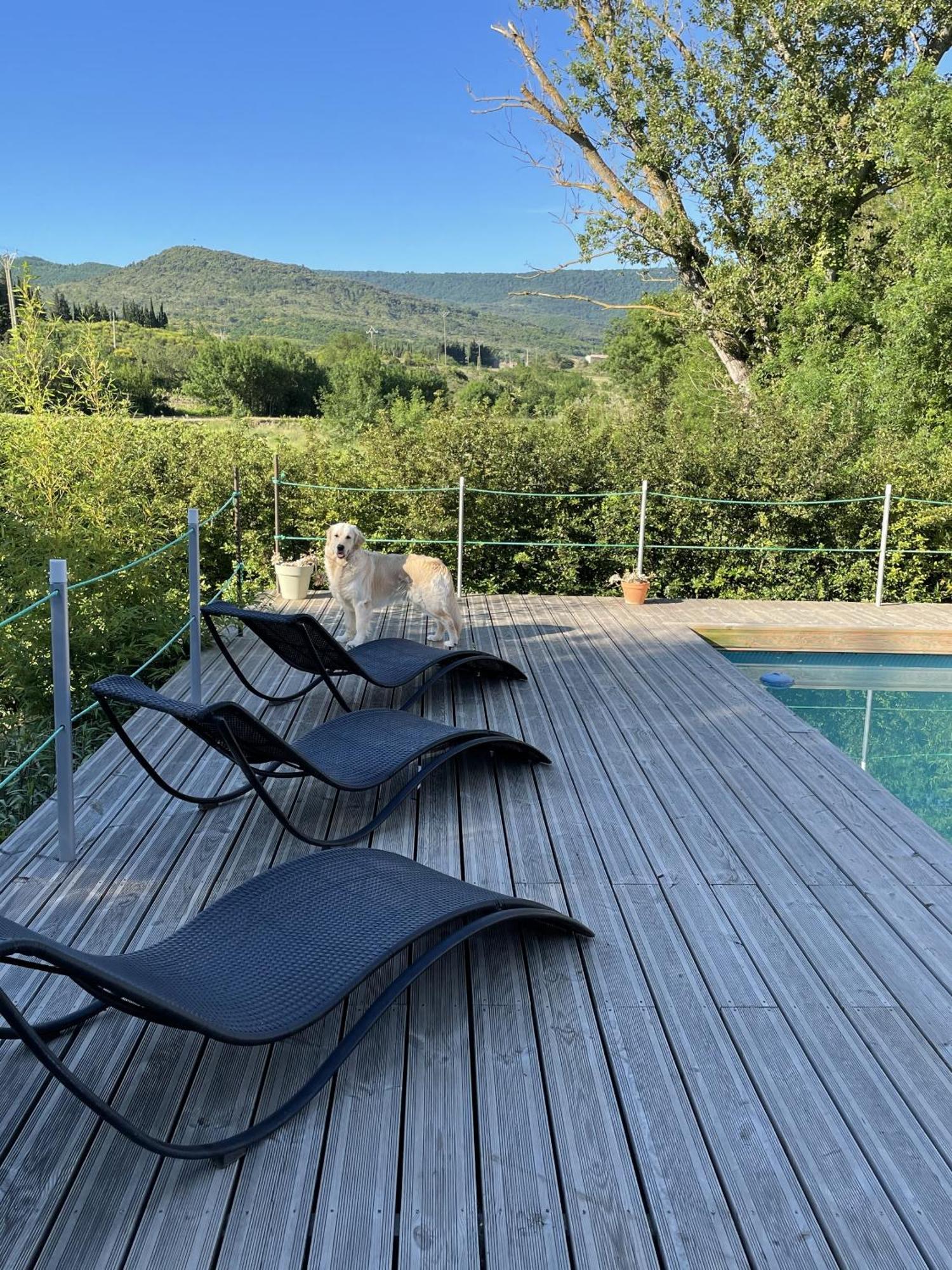 Le Domaine De La Tuilerie - Gite De Charme En Bord De Riviere Avec Piscine Servies-en-Val Buitenkant foto