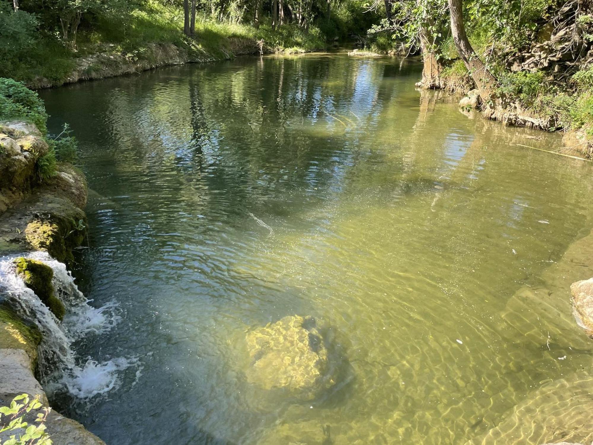 Le Domaine De La Tuilerie - Gite De Charme En Bord De Riviere Avec Piscine Servies-en-Val Buitenkant foto